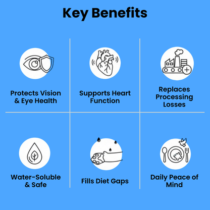 Stop The Silent Deficiency Before You See the Signs with PurrSupps™ Taurine Supplement